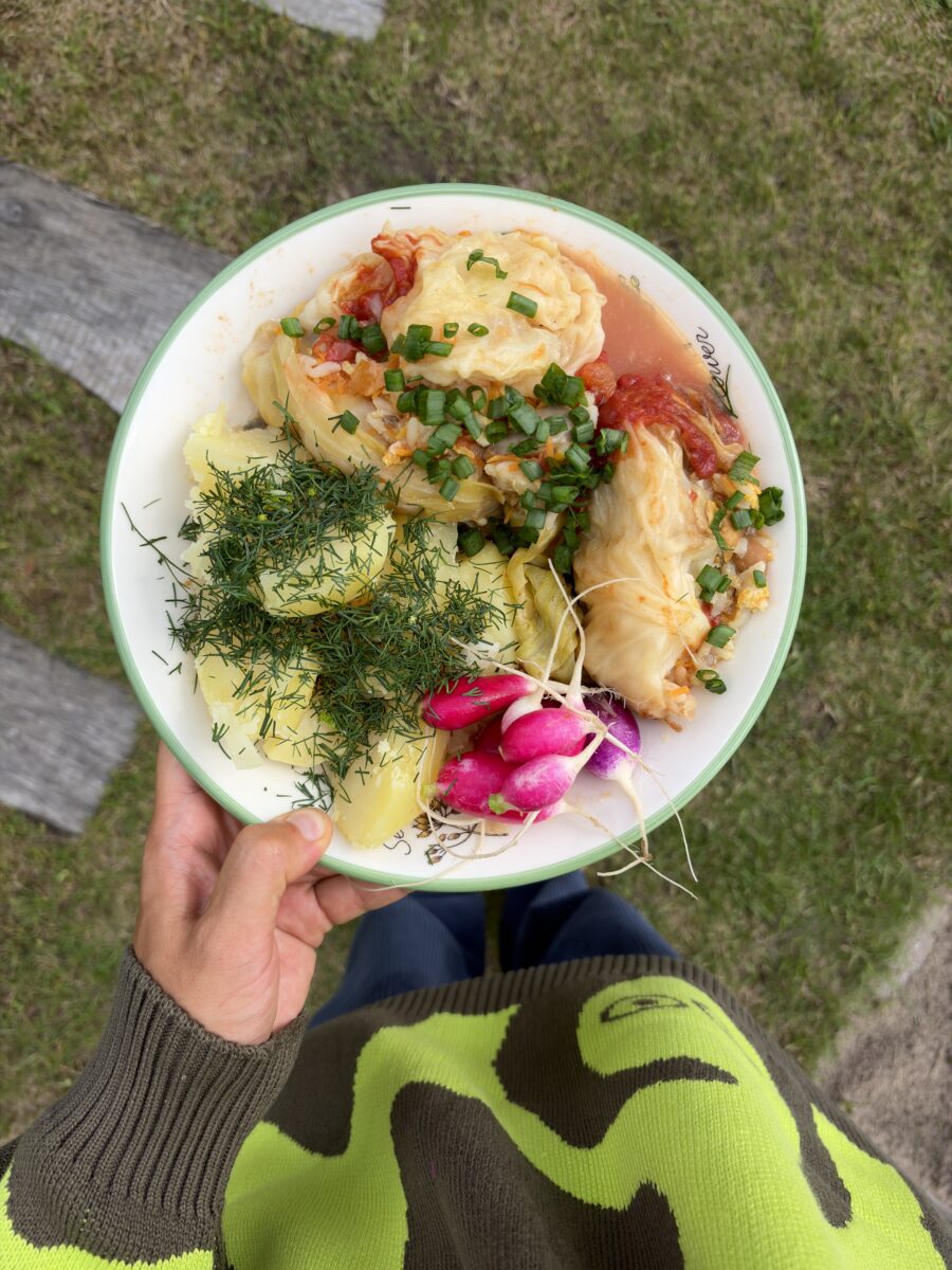 veganiski balandeliai su grybais
